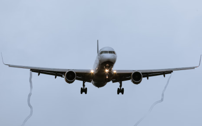 Immigration 1 Immigration 1